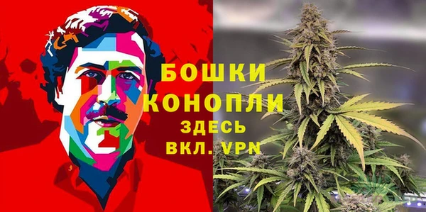 ГАЛЛЮЦИНОГЕННЫЕ ГРИБЫ Остров