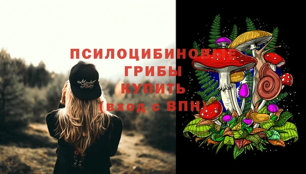 ГАЛЛЮЦИНОГЕННЫЕ ГРИБЫ Остров