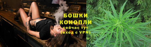 ГАЛЛЮЦИНОГЕННЫЕ ГРИБЫ Остров